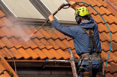 Démoussage et hydrofuge de toiture à Vulbens